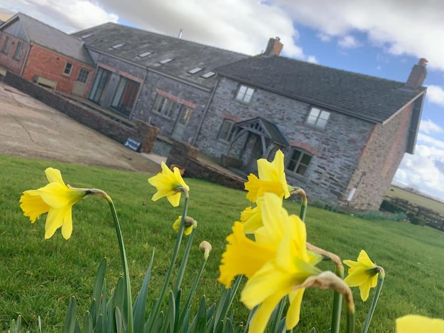 Coed Farm-Hot Tub-Sleeps 12-Near Brecon别墅 外观 照片
